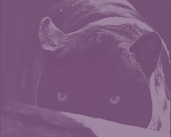 background3
